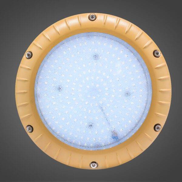 Luminaria Led SMD Frío 60W Gold - Imagen 2