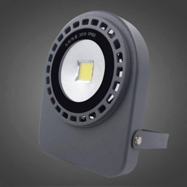 Reflector  Medio Circulo 30W B.Frío - Imagen 2