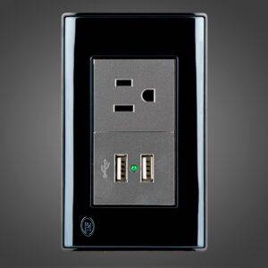 Receptáculo sencillo 2P + T más 2 USB