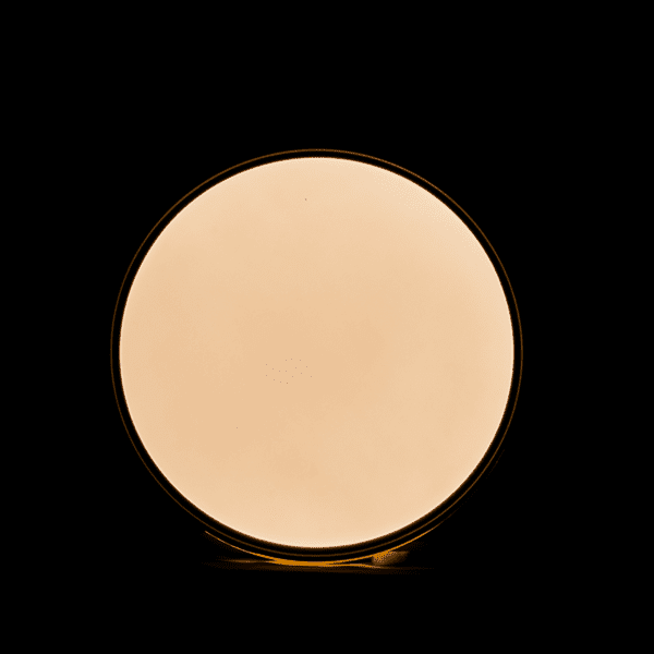 Lampara de techo de acero+acrílico, negro, luz cálida de 24W - Imagen 4